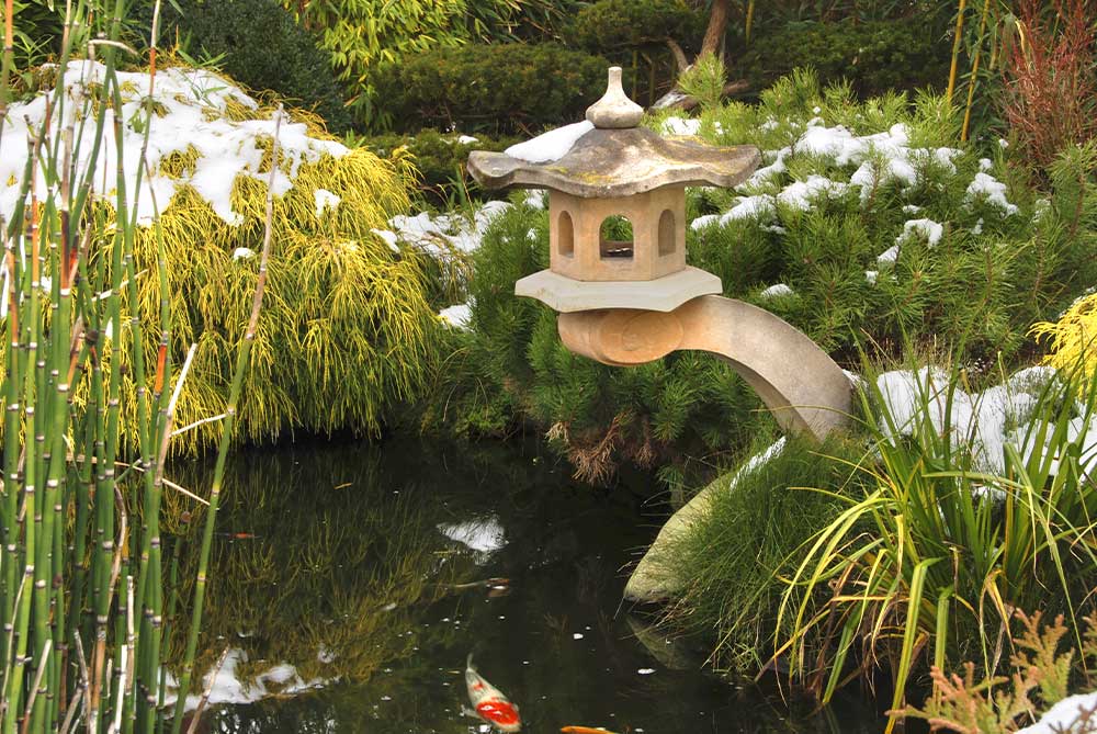 Should I lower the water level of my pond during winter?