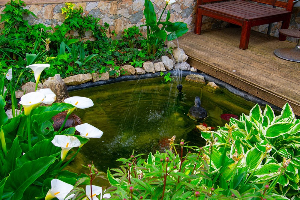 What's the best place to build a garden pond?