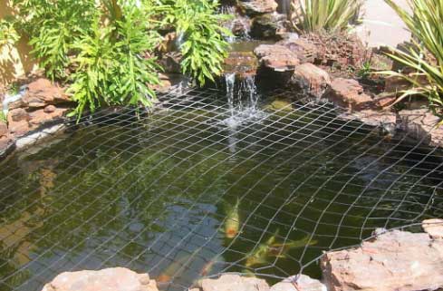 Should I use a pond net cover in autumn and winter?